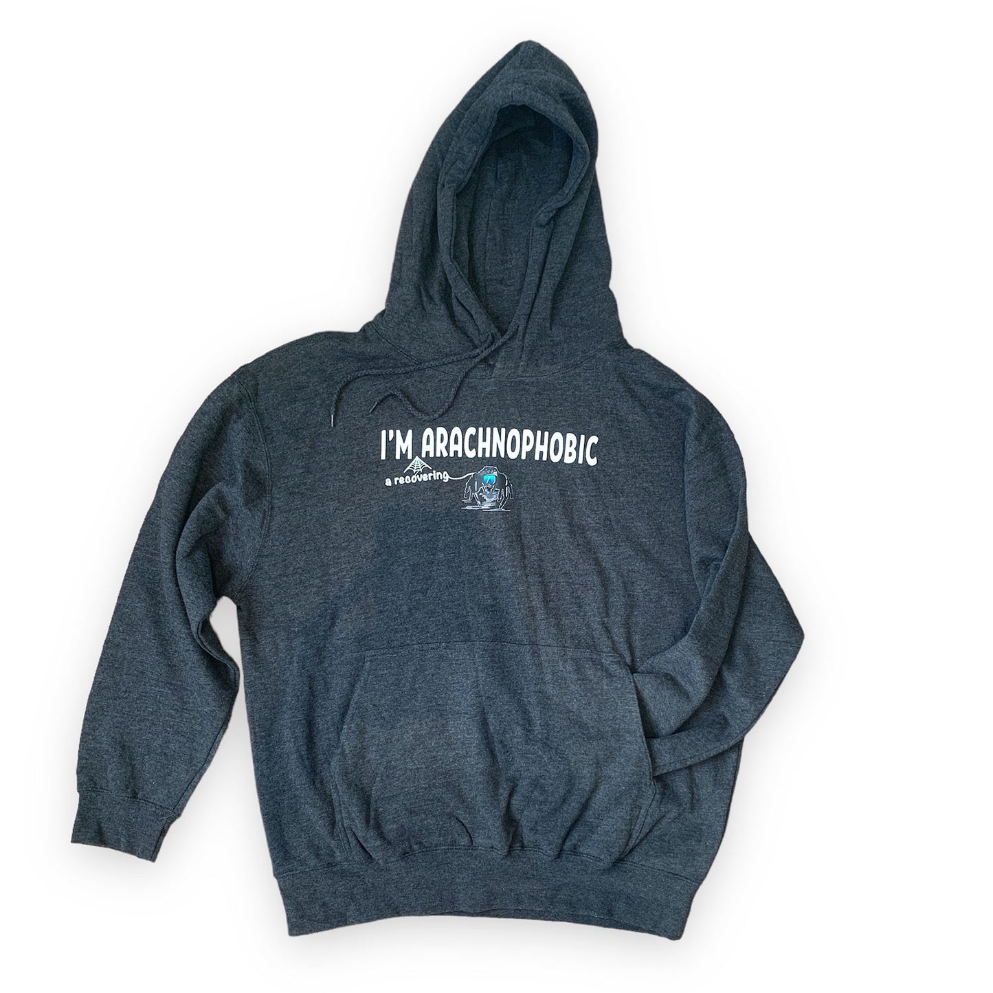 I'm A Recovering Arachnophobic Hoodie Dark Grey