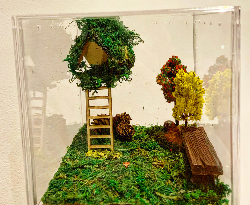 Habitat/Enclosure