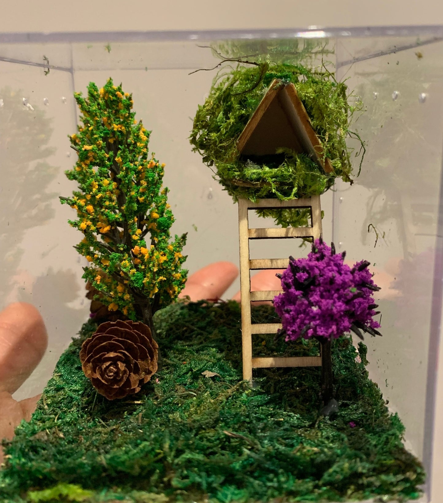 Habitat/Enclosure
