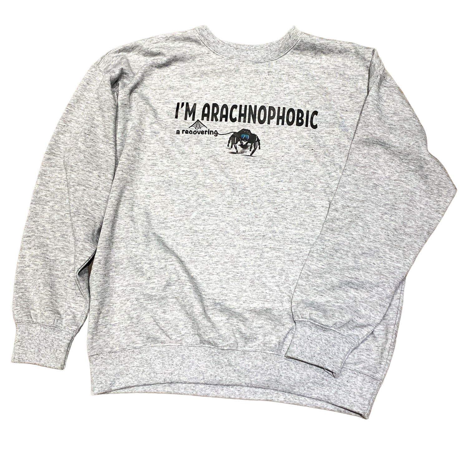 I'm A Recovering Arachnophobic Crewneck Sweatshirt Grey